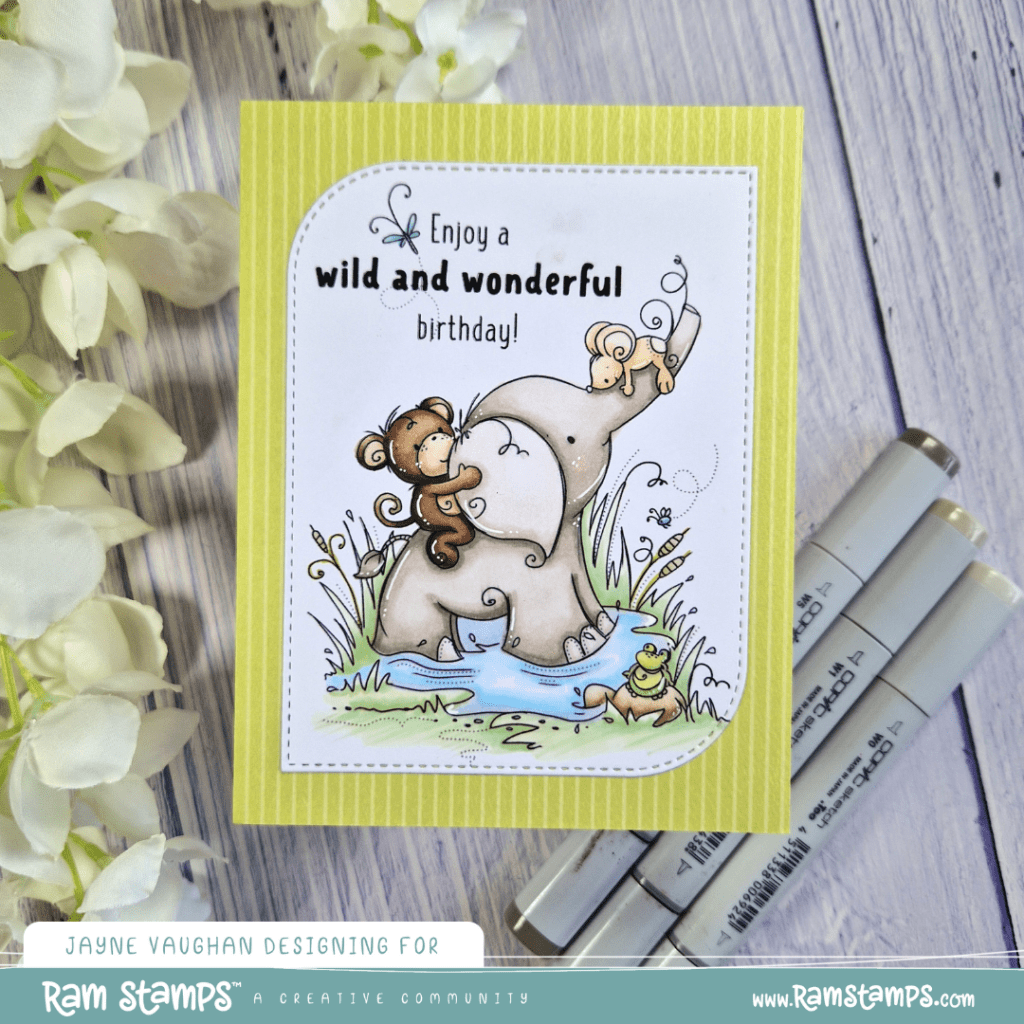 Enjoy a Wild and Wonderful birthday!